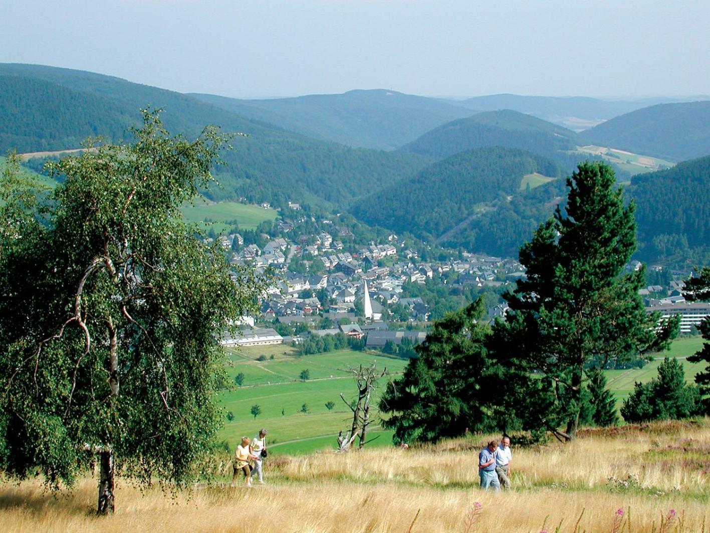 Komfort-Fewo Blickfang Willingen*** Willingen (Upland) Exterior foto